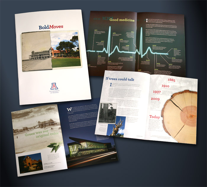 University of Arizona, Bold Moves brochure design